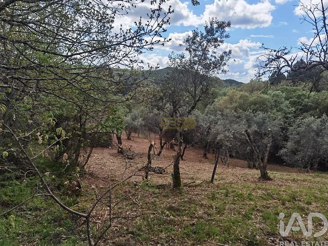 Moradia T0 à venda em Aldeias e Mangualde da Serra, Gouveia — foto 24