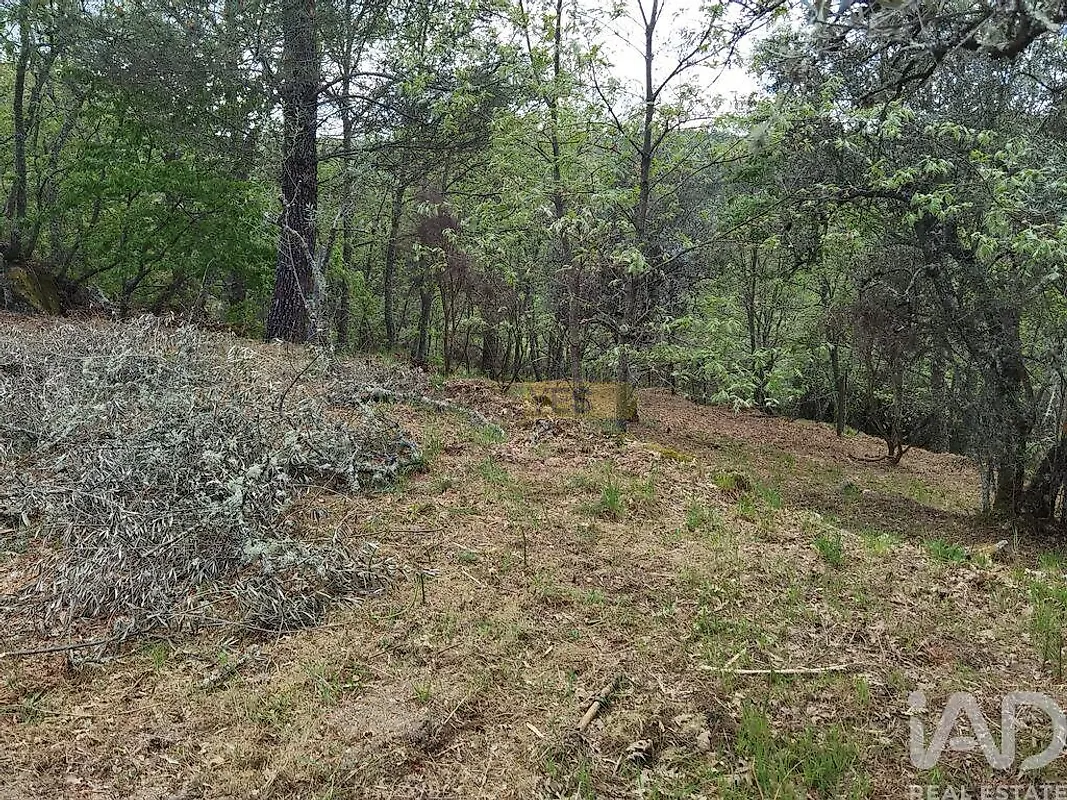 Moradia T0 à venda em Aldeias e Mangualde da Serra, Gouveia — foto 11