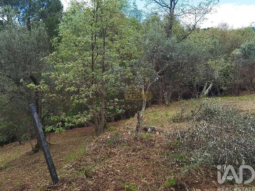 Moradia T0 à venda em Aldeias e Mangualde da Serra, Gouveia — foto 19