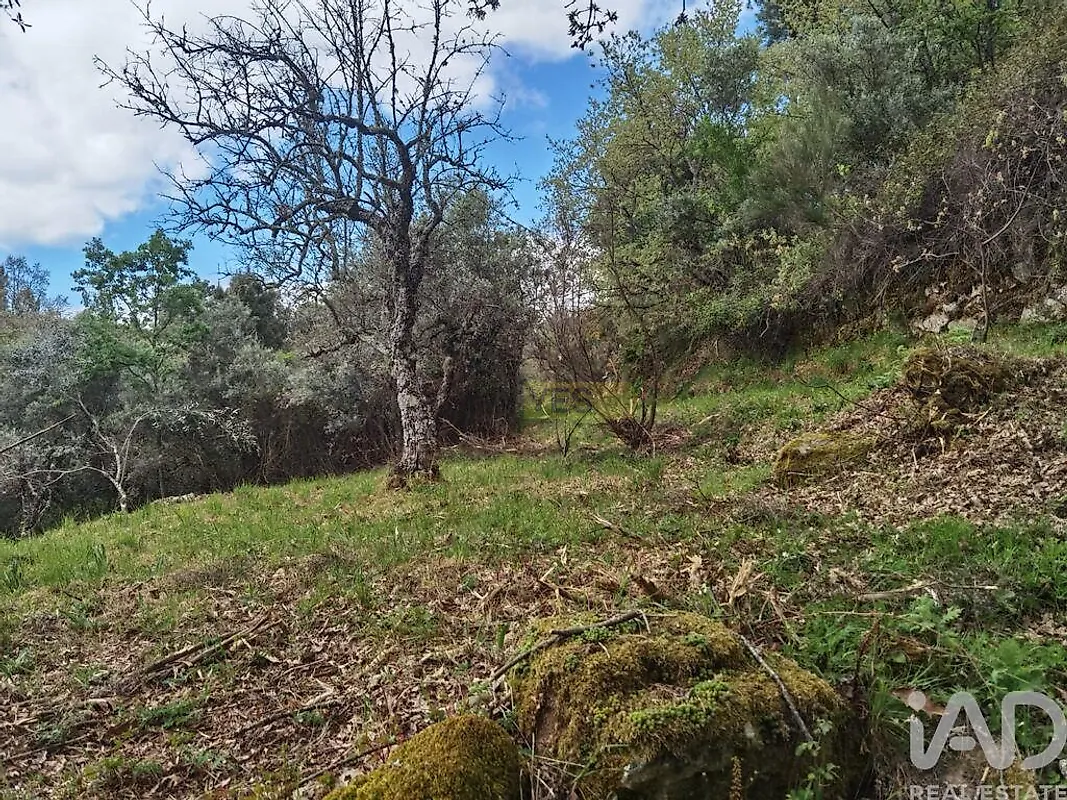 Moradia T0 à venda em Aldeias e Mangualde da Serra, Gouveia — foto 26