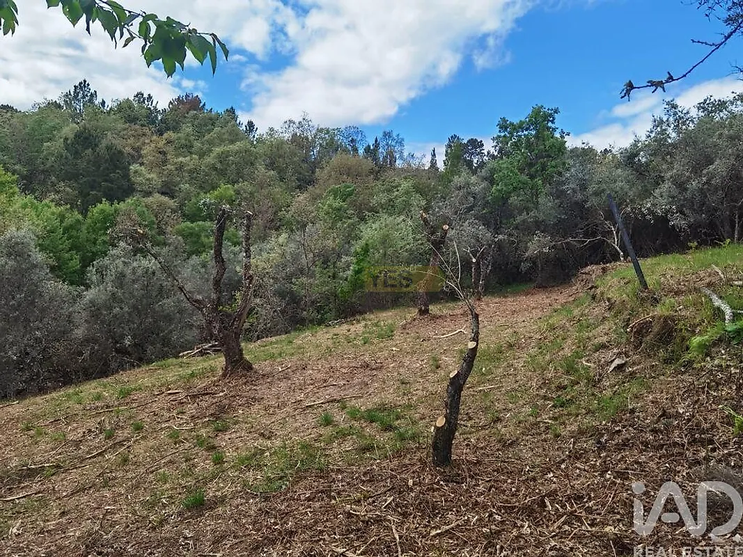 Moradia T0 à venda em Aldeias e Mangualde da Serra, Gouveia — foto 25