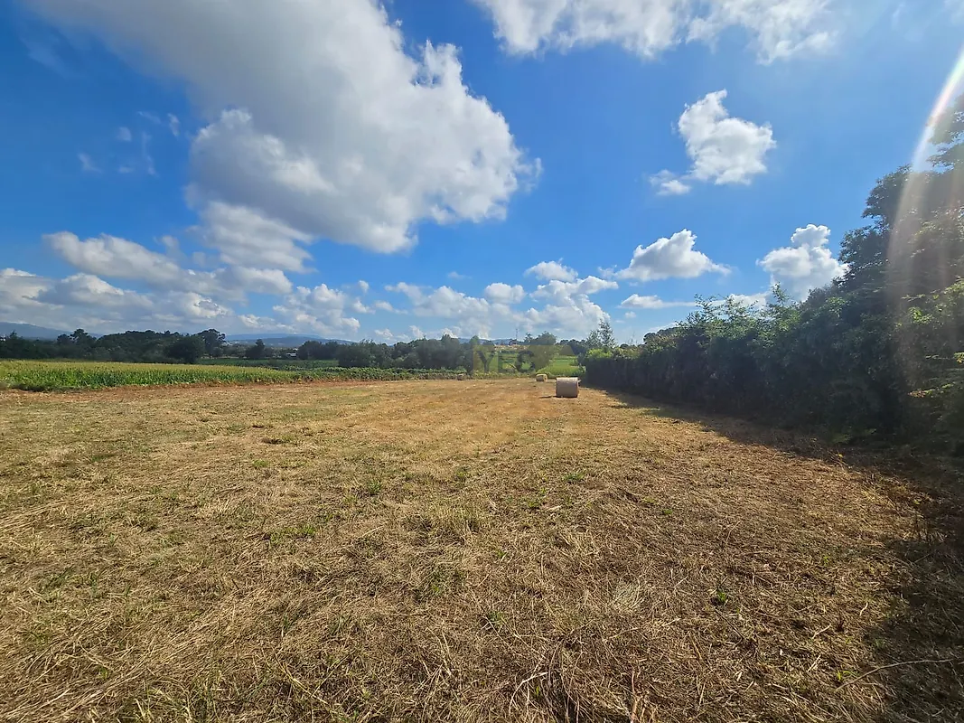 Moradia T0 à venda em Forjães, Esposende — foto 5