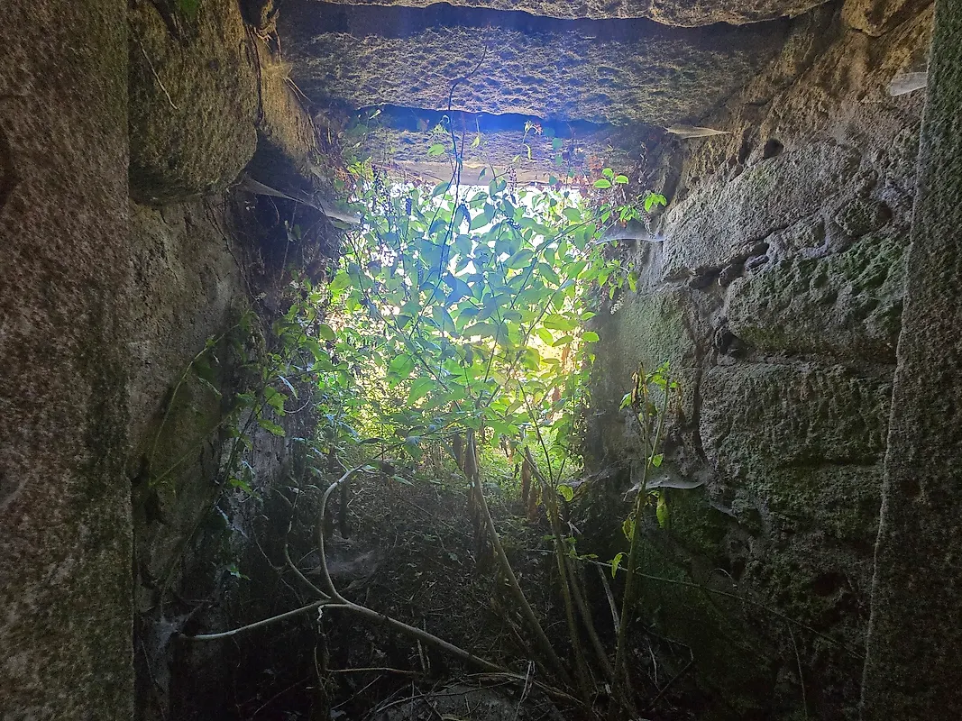 Moradia T0 à venda em Forjães, Esposende — foto 18