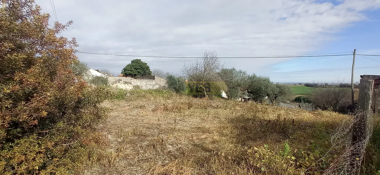 Moradia T0 à venda em Achete, Azoia de Baixo e Póvoa de Santarém, Santarém — foto 2
