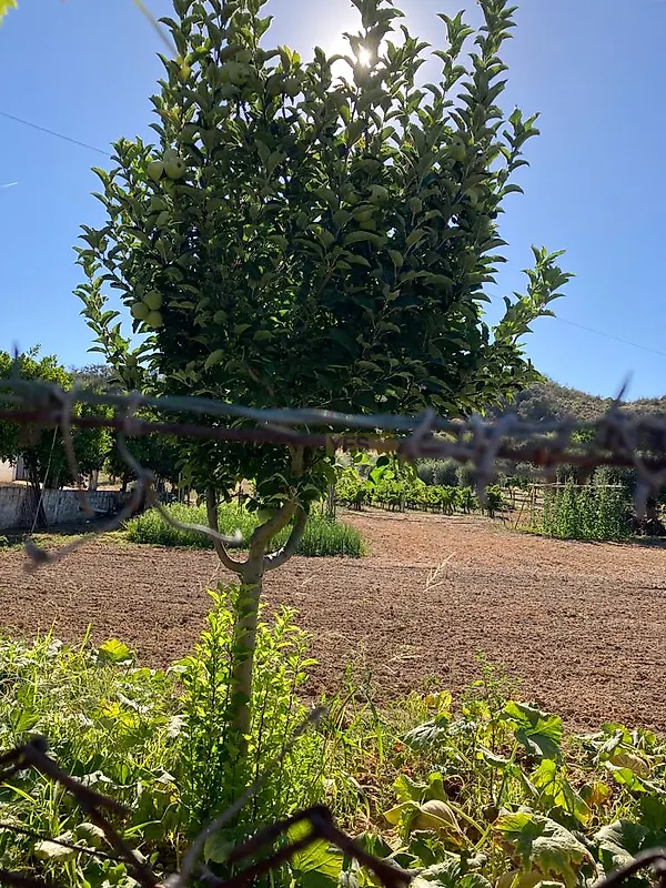 Apartamento T3 à venda em Garvão e Santa Luzia, Ourique — foto 29