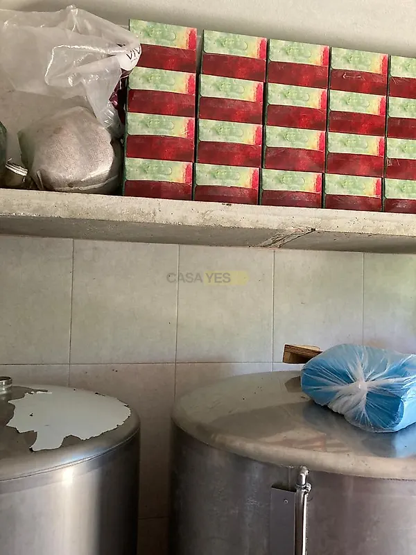 Apartamento T3 à venda em Garvão e Santa Luzia, Ourique — foto 26