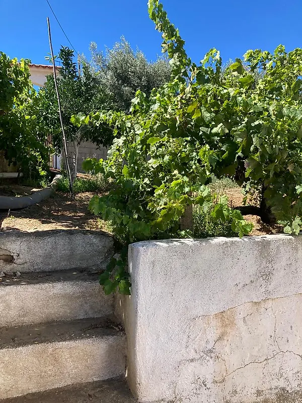 Apartamento T3 à venda em Garvão e Santa Luzia, Ourique — foto 21