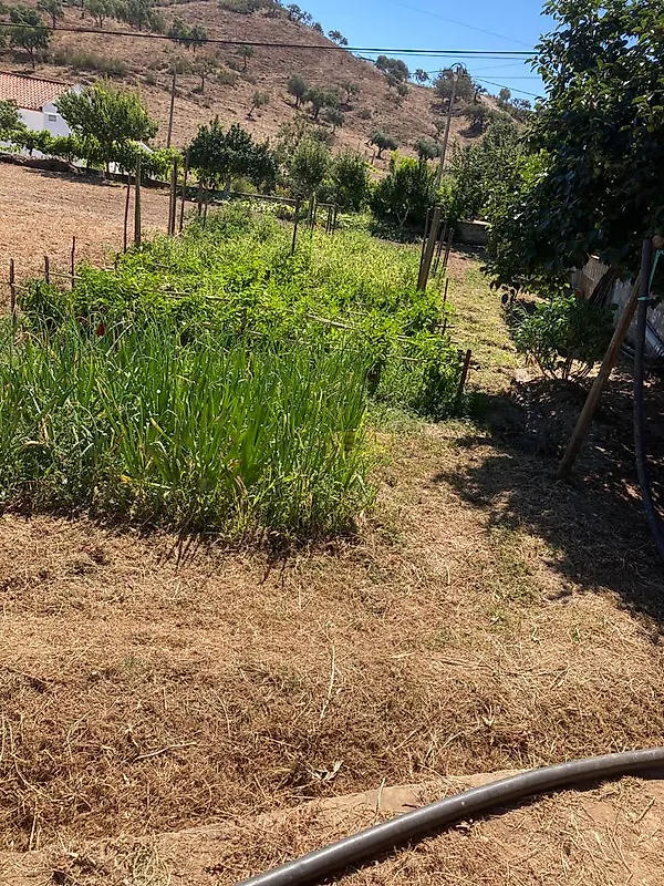Apartamento T3 à venda em Garvão e Santa Luzia, Ourique — foto 30