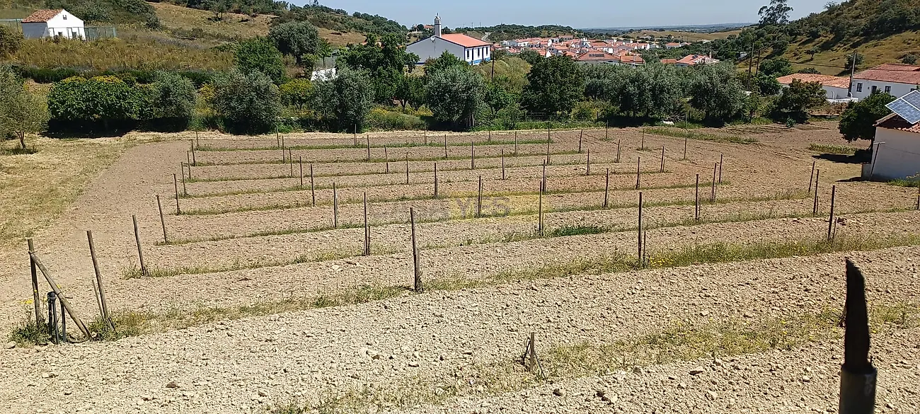 Apartamento T3 à venda em Garvão e Santa Luzia, Ourique — foto 32