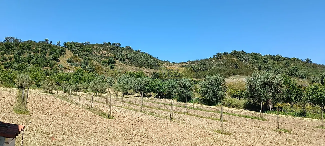 Apartamento T3 à venda em Garvão e Santa Luzia, Ourique — foto 33