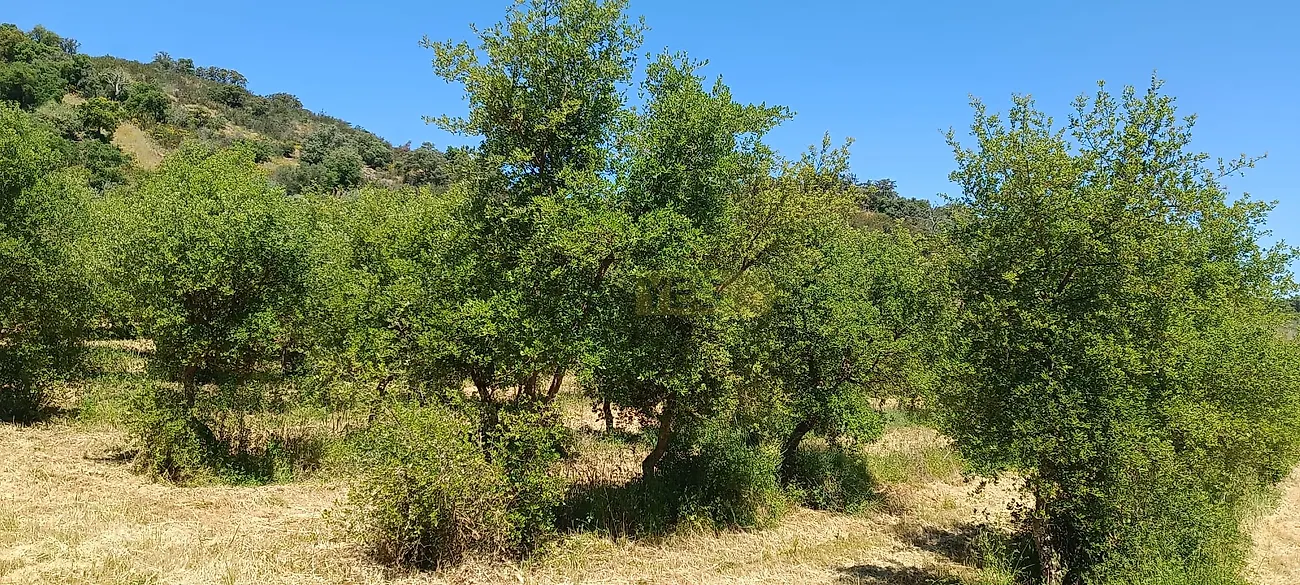 Apartamento T3 à venda em Garvão e Santa Luzia, Ourique — foto 34