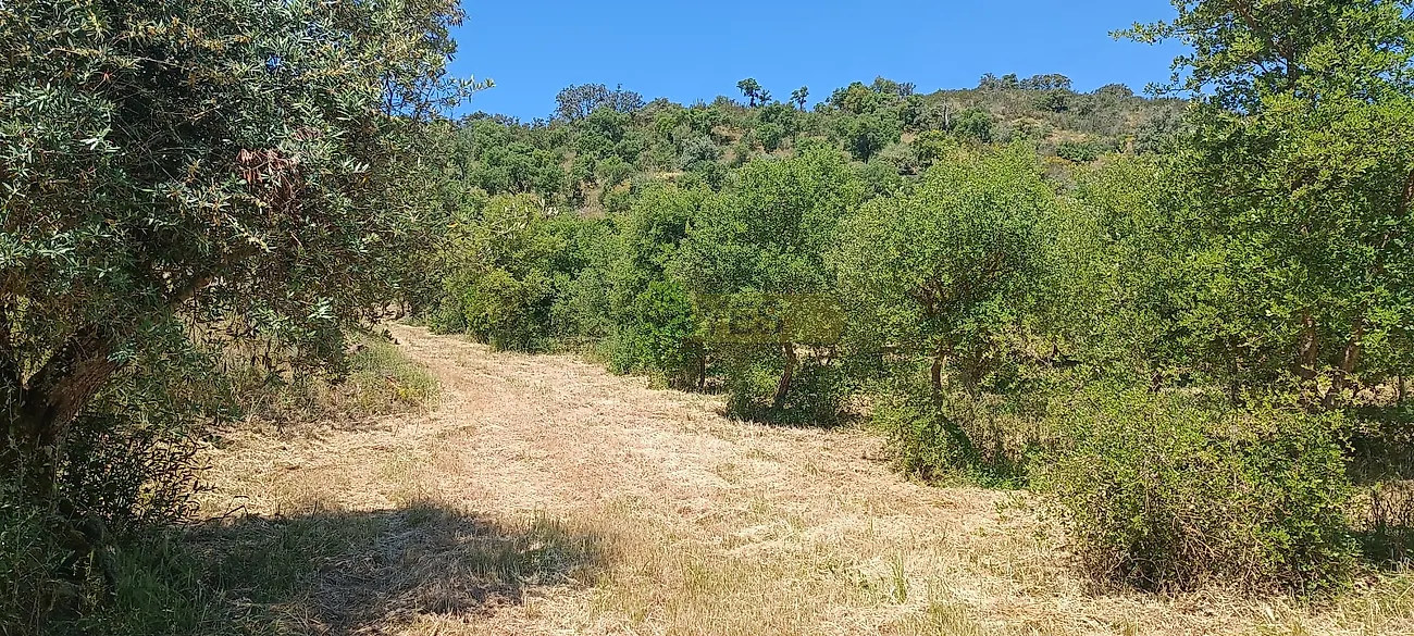 Apartamento T3 à venda em Garvão e Santa Luzia, Ourique — foto 35