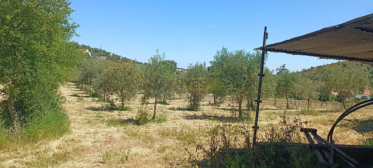 Apartamento T3 à venda em Garvão e Santa Luzia, Ourique — foto 36