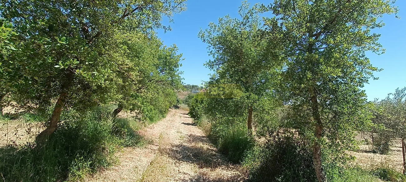 Apartamento T3 à venda em Garvão e Santa Luzia, Ourique — foto 39