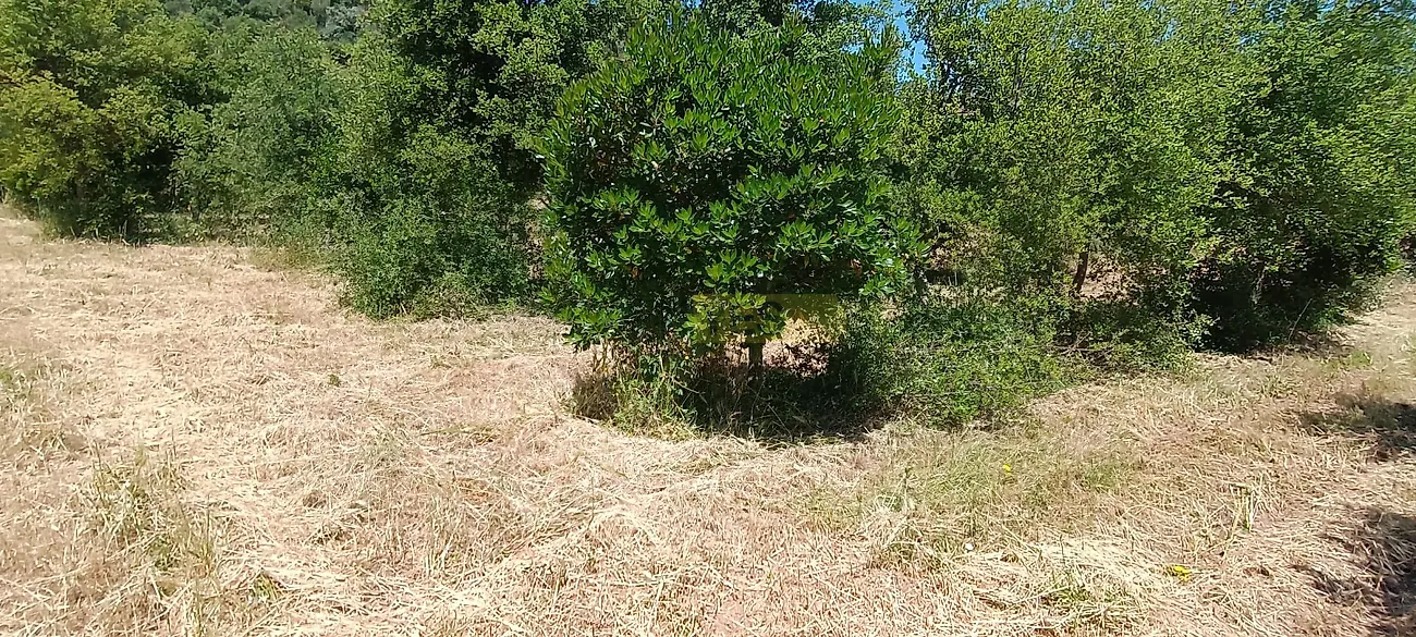 Apartamento T3 à venda em Garvão e Santa Luzia, Ourique — foto 40