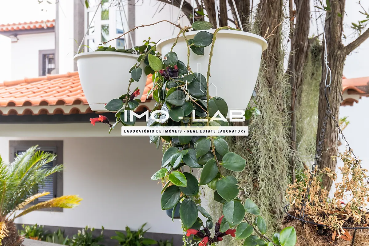 Moradia T3 à venda em São Roque, Funchal — foto 8