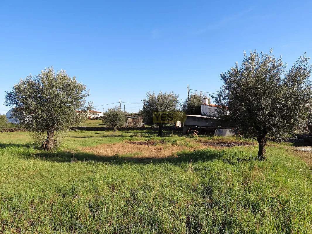 Moradia T3 à venda em Campo e Campinho, Reguengos de Monsaraz — foto 27