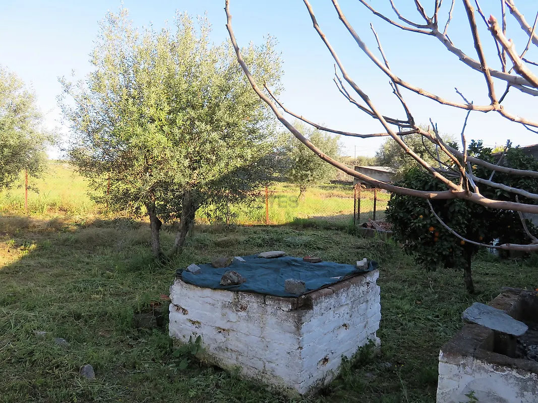 Moradia T3 à venda em Campo e Campinho, Reguengos de Monsaraz — foto 24