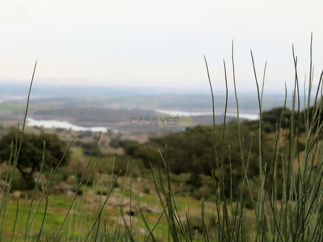 Apartamento T0 à venda em Monsaraz, Reguengos de Monsaraz — foto 3