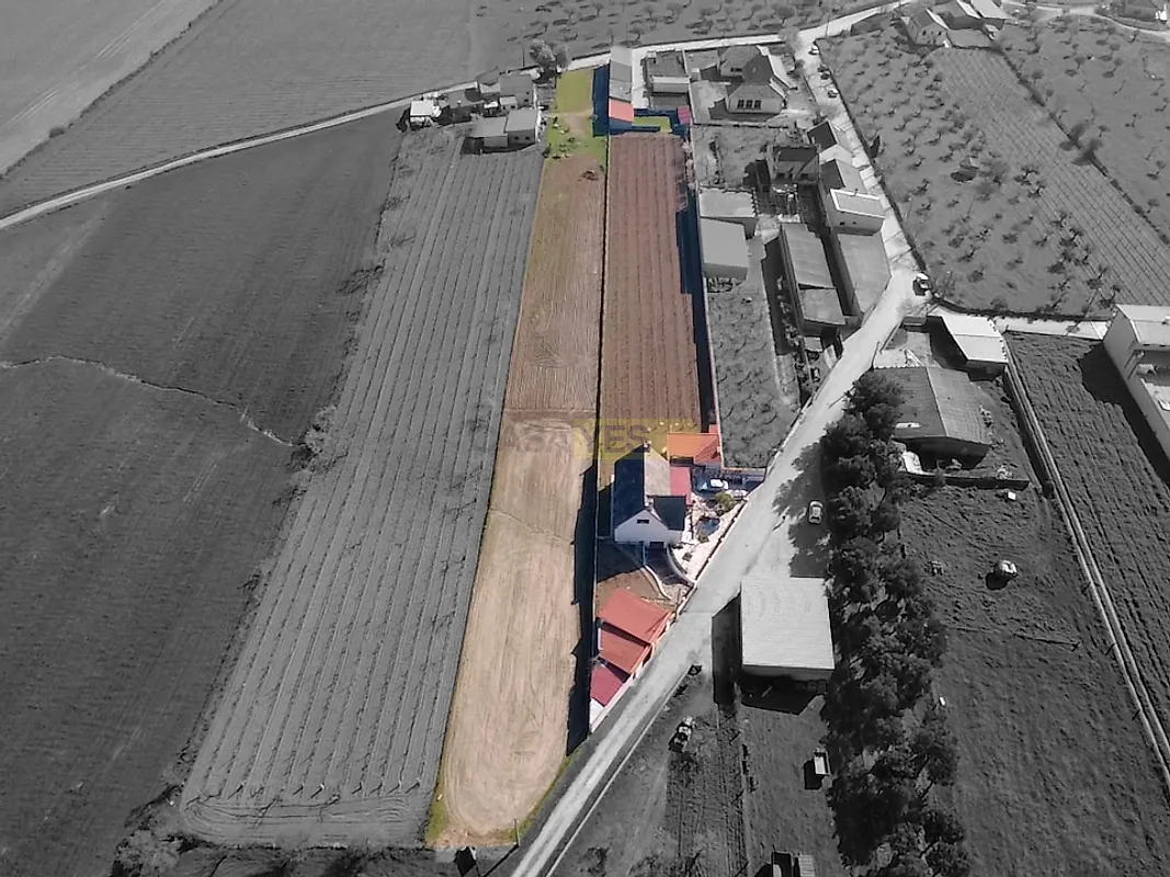 Moradia T5 à venda em Vermiosa, Figueira de Castelo Rodrigo — foto 3