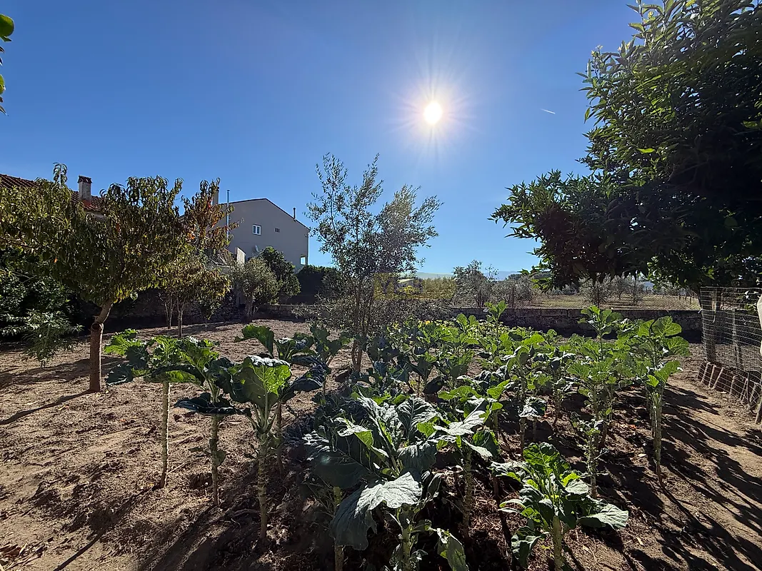 Moradia T3 à venda em Vila Nova de Tazem, Gouveia — foto 14