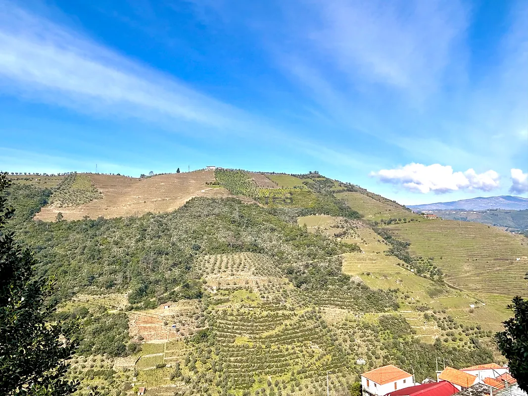 Moradia T0 à venda em Lobrigos (São Miguel e São João Baptista) e Sanhoane, Santa Marta de Penaguião — foto 3