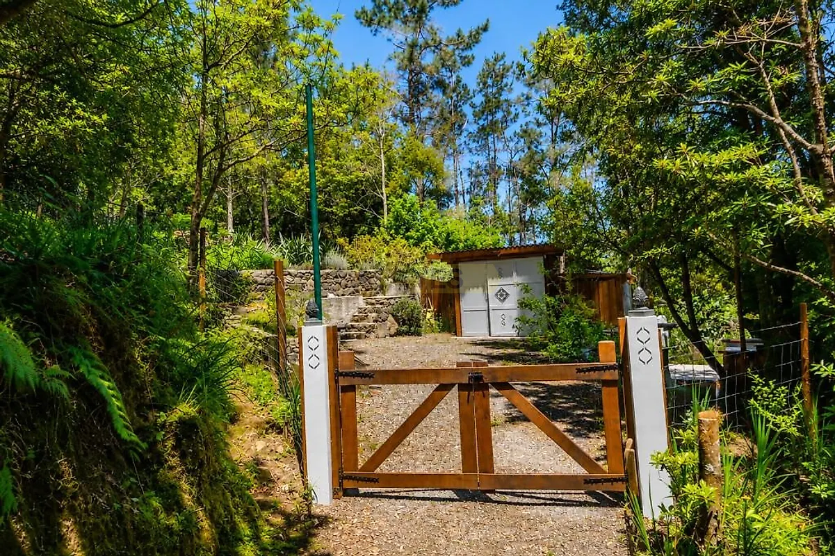 Moradia T1 à venda em Ponta delgada, São Vicente — foto 18