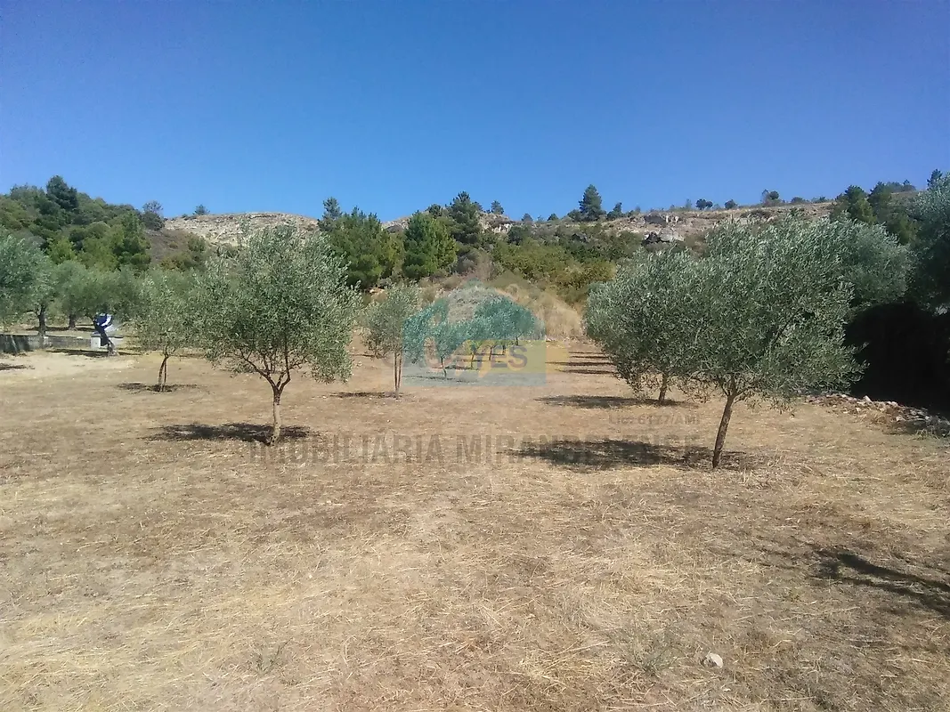 Moradia T3 à venda em Candoso e Carvalho de Egas, Vila Flor — foto 16