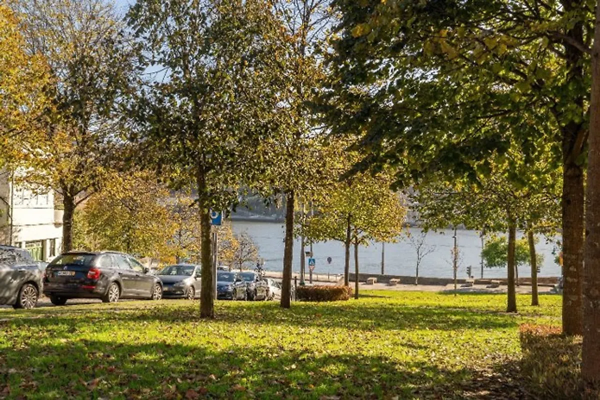 Moradia T4 à venda em Lordelo do Ouro e Massarelos, Porto — foto 7