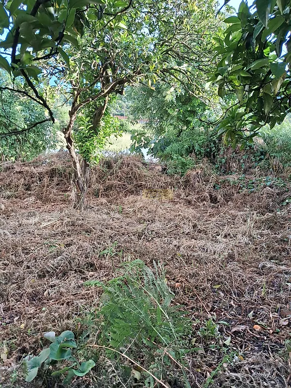 Moradia T3 à venda em Semide e Rio Vide, Miranda do Corvo — foto 5