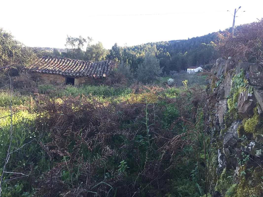 Moradia T0 à venda em Carvalhal, Sertã — foto 9