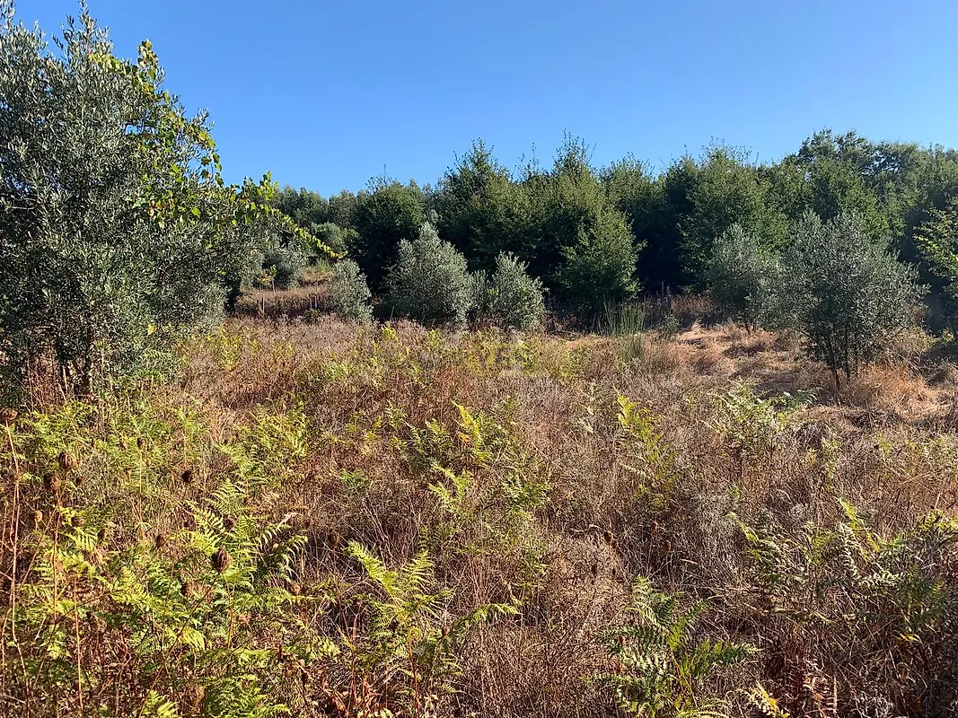 Moradia T0 à venda em Vila Facaia, Pedrógão Grande — foto 10