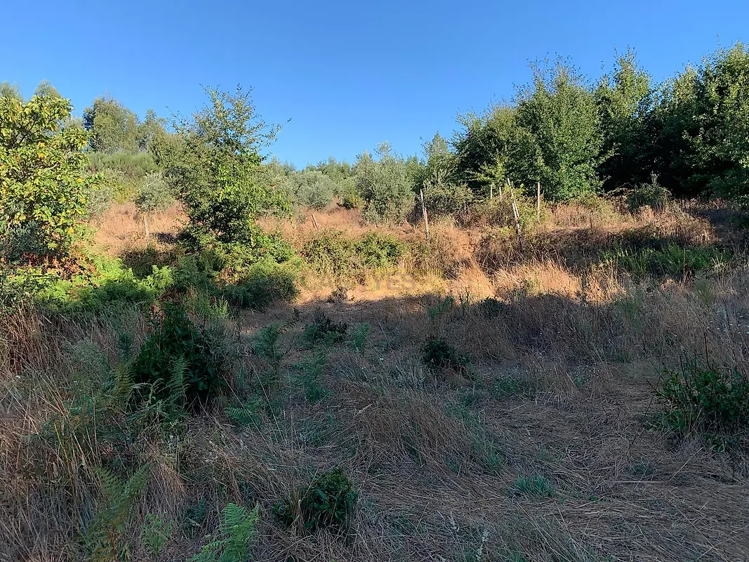 Moradia T0 à venda em Vila Facaia, Pedrógão Grande — foto 12