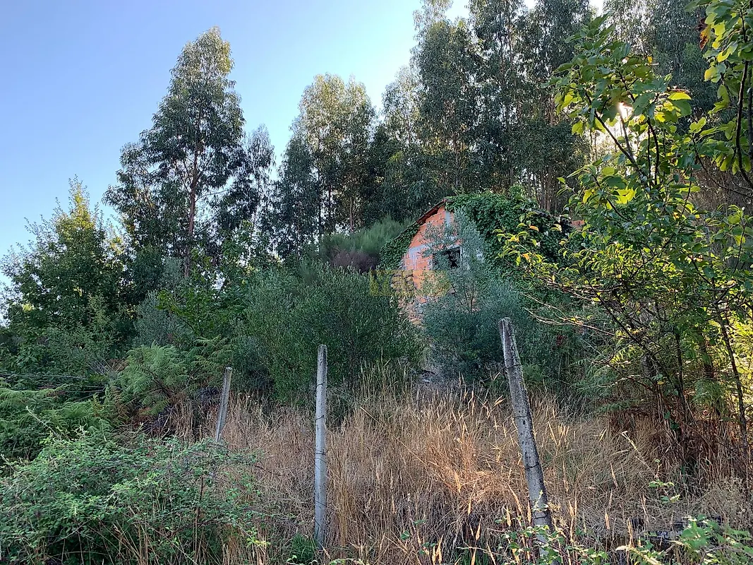 Moradia T0 à venda em Vila Facaia, Pedrógão Grande — foto 13