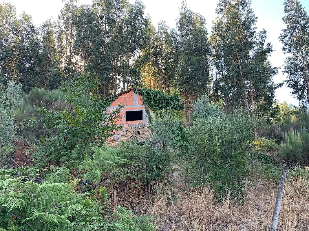 Moradia T0 à venda em Vila Facaia, Pedrógão Grande — foto 16