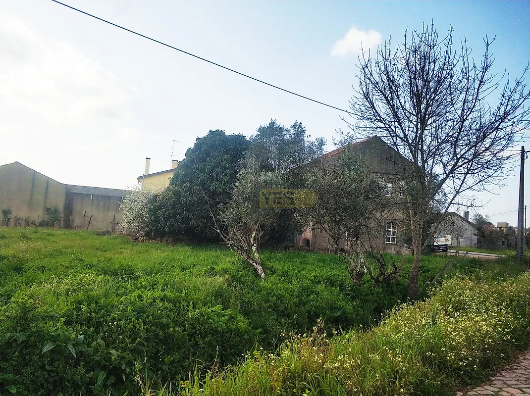 Moradia T2 à venda em Aguda, Figueiró dos Vinhos — foto 5