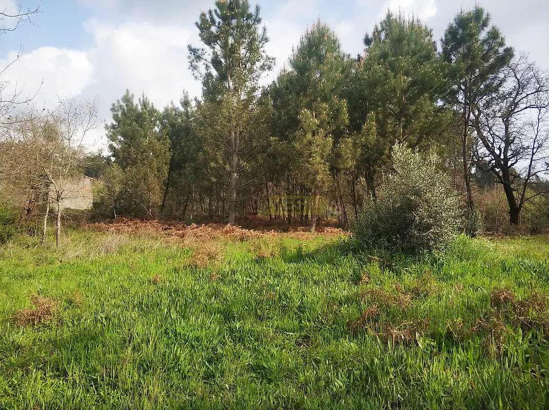Moradia T2 à venda em Aguda, Figueiró dos Vinhos — foto 10