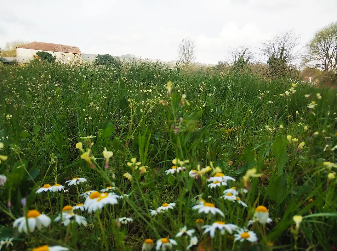 Moradia T2 à venda em Aguda, Figueiró dos Vinhos — foto 13