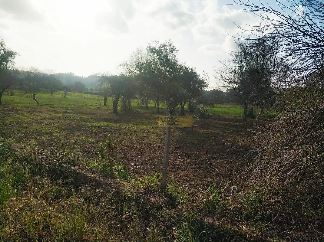 Moradia T2 à venda em Aguda, Figueiró dos Vinhos — foto 14