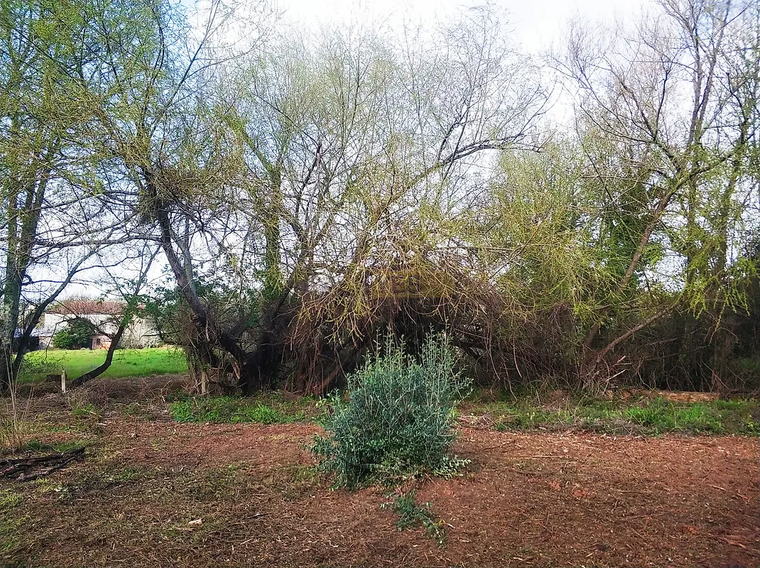 Moradia T2 à venda em Aguda, Figueiró dos Vinhos — foto 16