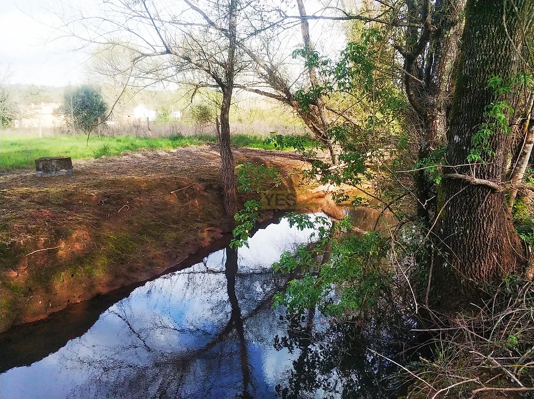 Moradia T2 à venda em Aguda, Figueiró dos Vinhos — foto 19