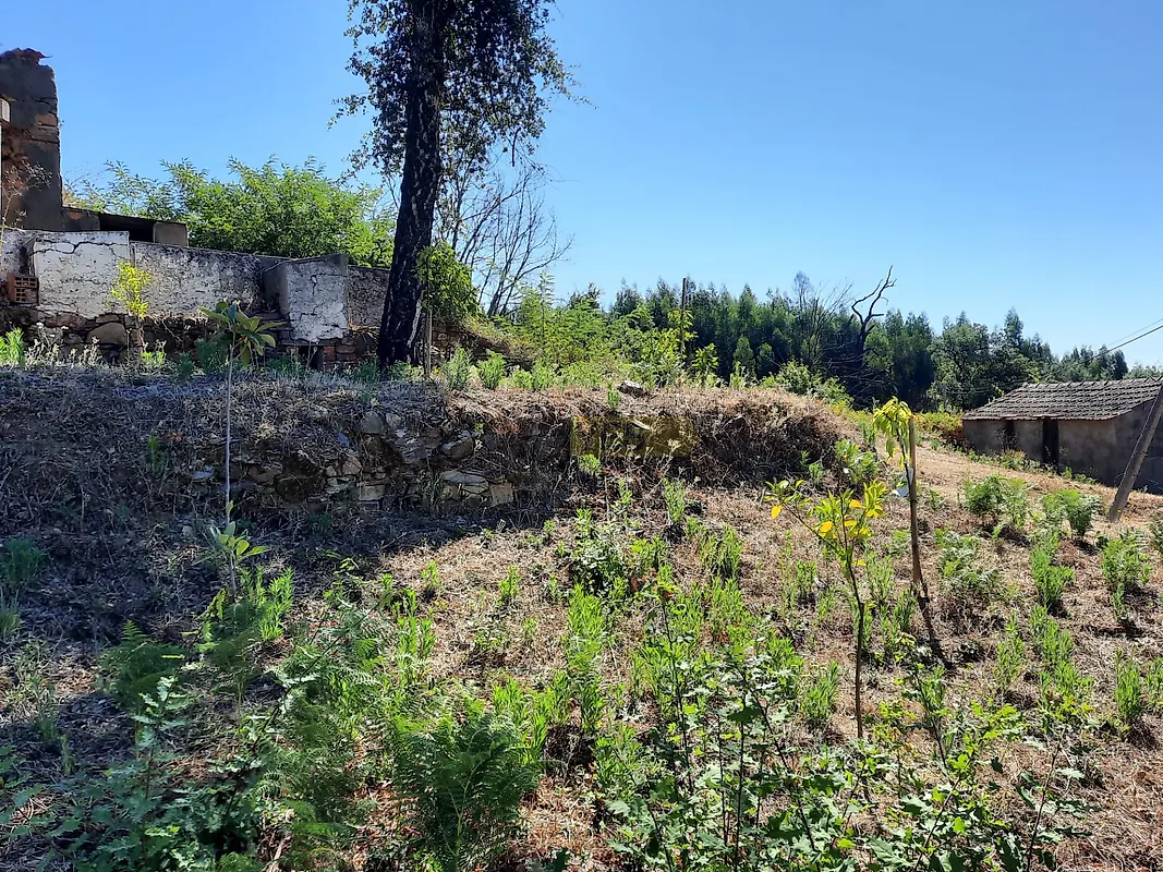Moradia T0 à venda em Vila Facaia, Pedrógão Grande — foto 14