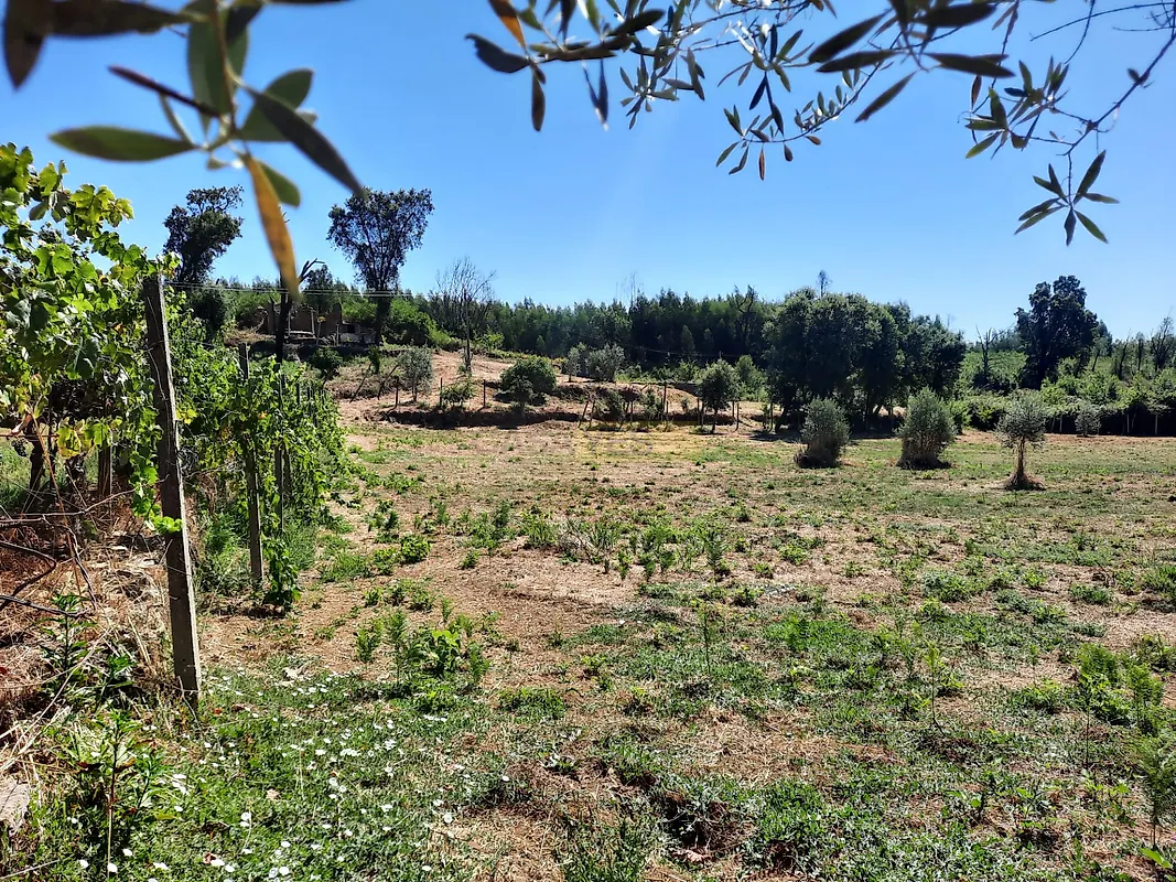 Moradia T0 à venda em Vila Facaia, Pedrógão Grande — foto 5