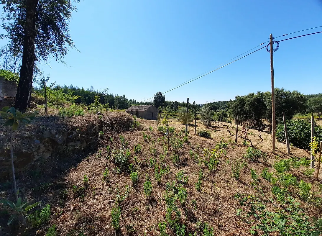 Moradia T0 à venda em Vila Facaia, Pedrógão Grande — foto 17