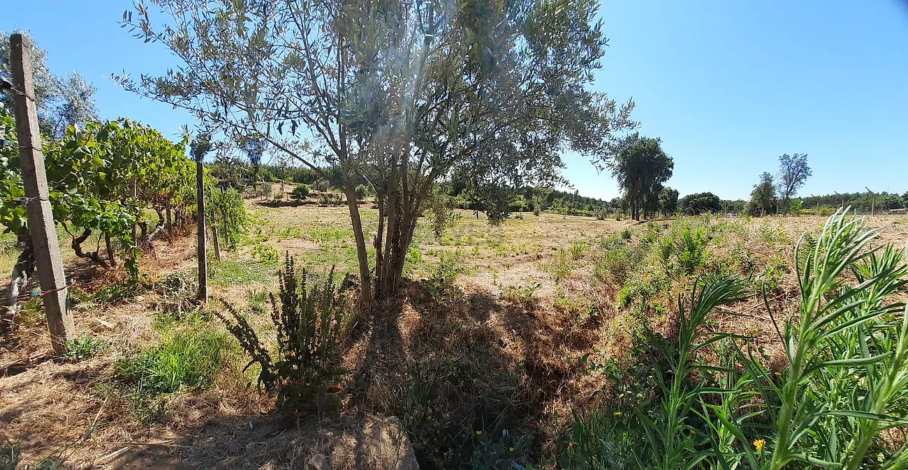 Moradia T0 à venda em Vila Facaia, Pedrógão Grande — foto 18