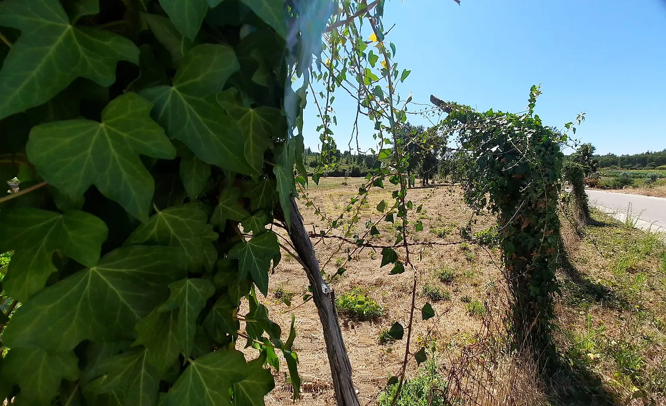 Moradia T0 à venda em Vila Facaia, Pedrógão Grande — foto 19