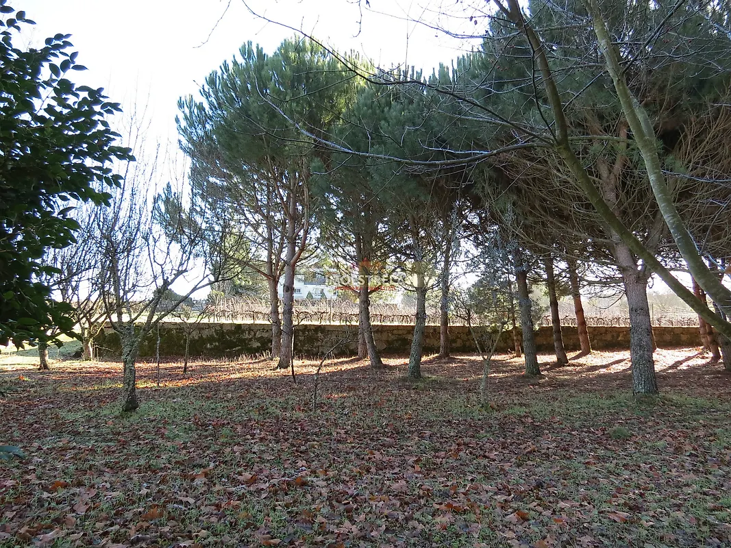 Apartamento T5 à venda em Moimenta da Serra e Vinhó, Gouveia — foto 17