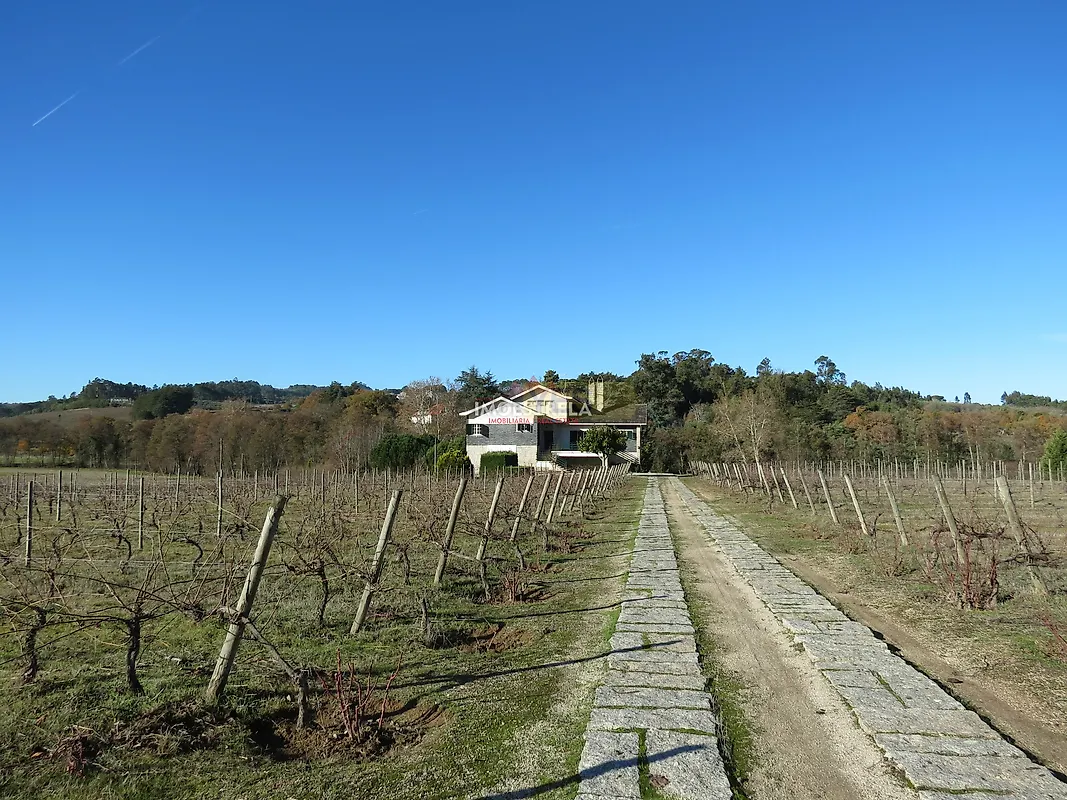 Apartamento T5 à venda em Moimenta da Serra e Vinhó, Gouveia — foto 24