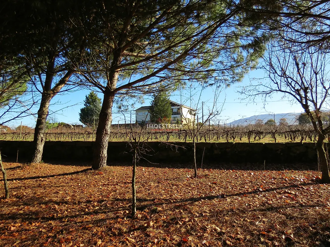Apartamento T5 à venda em Moimenta da Serra e Vinhó, Gouveia — foto 22