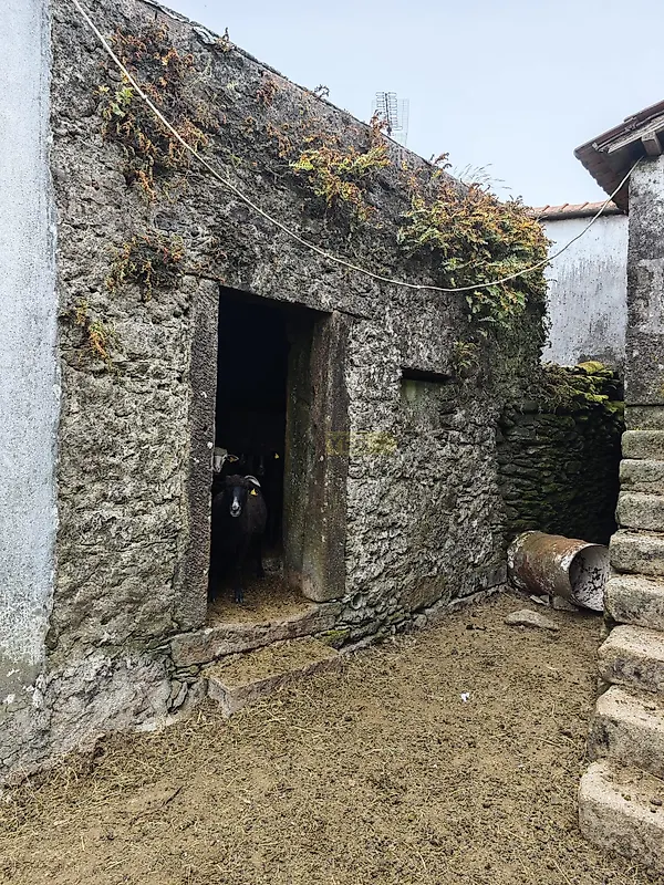 Moradia T0 à venda em Arga (Baixo, Cima e São João), Caminha — foto 9